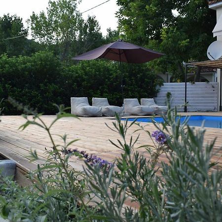 Serenity Luxury Villa, Skiathos 아기아 파라스케비 외부 사진