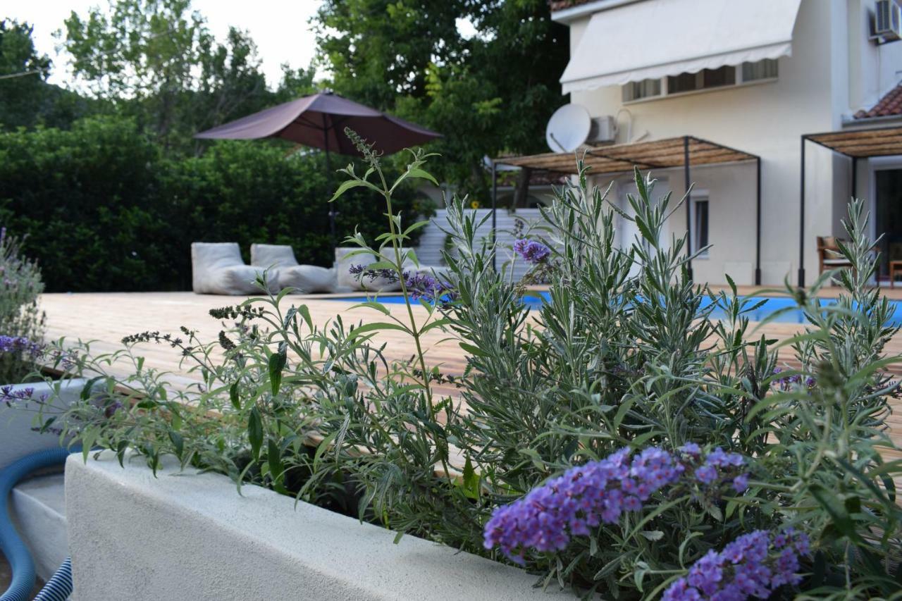 Serenity Luxury Villa, Skiathos 아기아 파라스케비 외부 사진