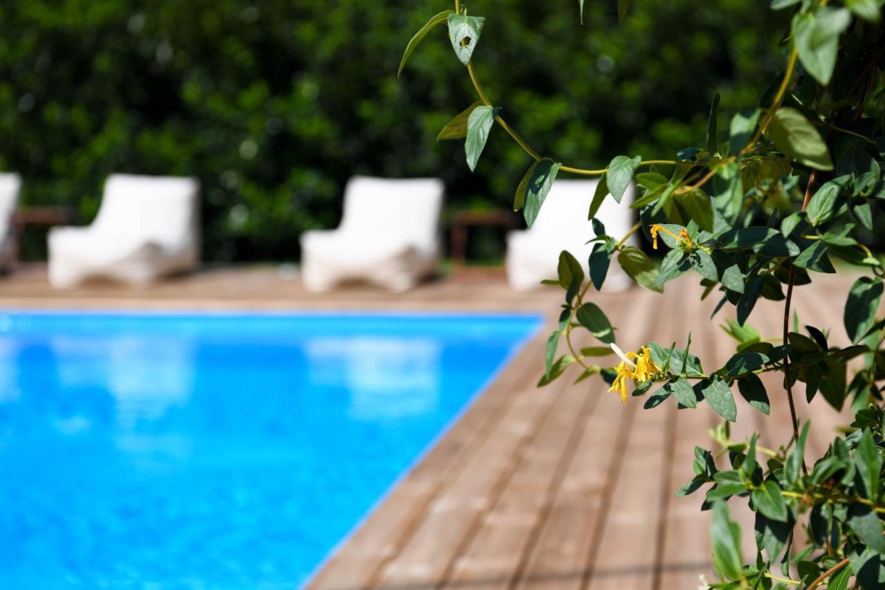 Serenity Luxury Villa, Skiathos 아기아 파라스케비 외부 사진